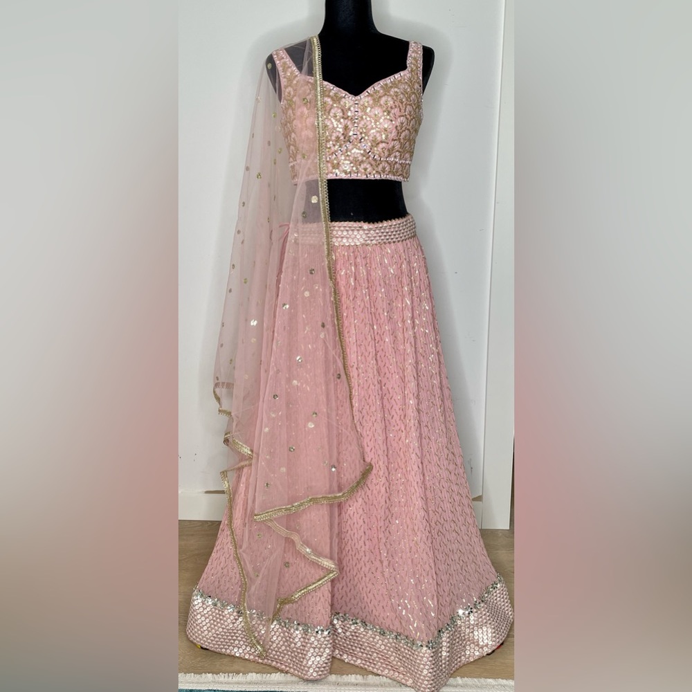 Spring sale - Brand New Pink Lehenga